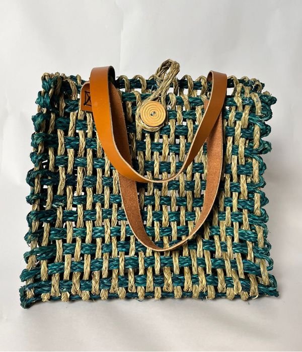 Mesh Bag( Blue + Natural Colour)