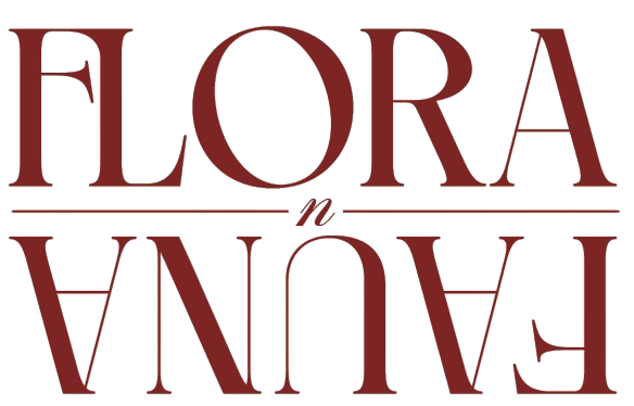 Flora n Fauna
